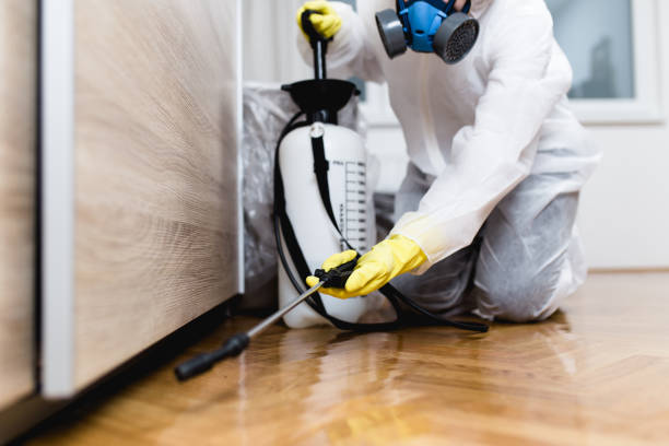 Best Pest Control Near Me in Gardnerville Ranchos, NV