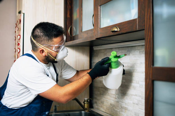 Trusted Gardnerville Ranchos, NV Pest Control Experts