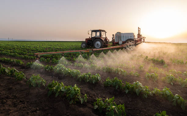 Best Pest Removal Services  in Gardnerville Ranchos, NV
