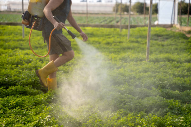 Best Pest Prevention Services  in Gardnerville Ranchos, NV