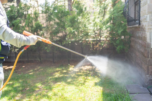 Best Emergency Pest Control  in Gardnerville Ranchos, NV