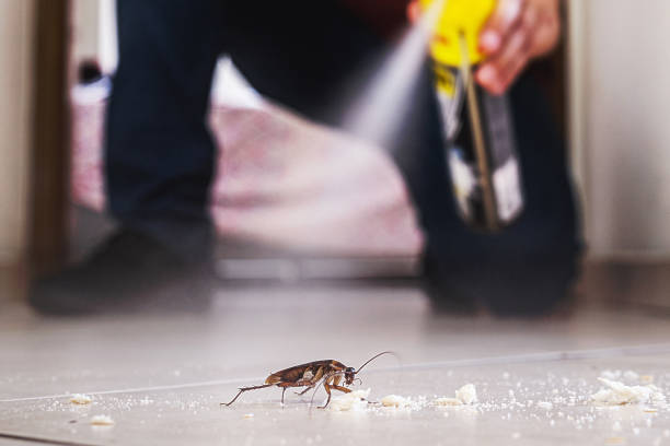Best Residential Pest Control  in Gardnerville Ranchos, NV