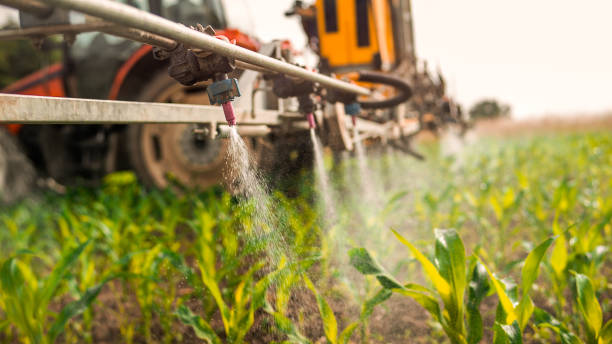 Best Pest Control Cost  in Gardnerville Ranchos, NV